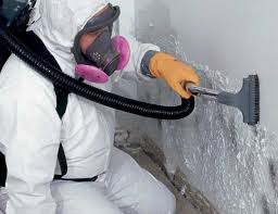 Best Emergency Mold Remediation  in Kodi Station, AK